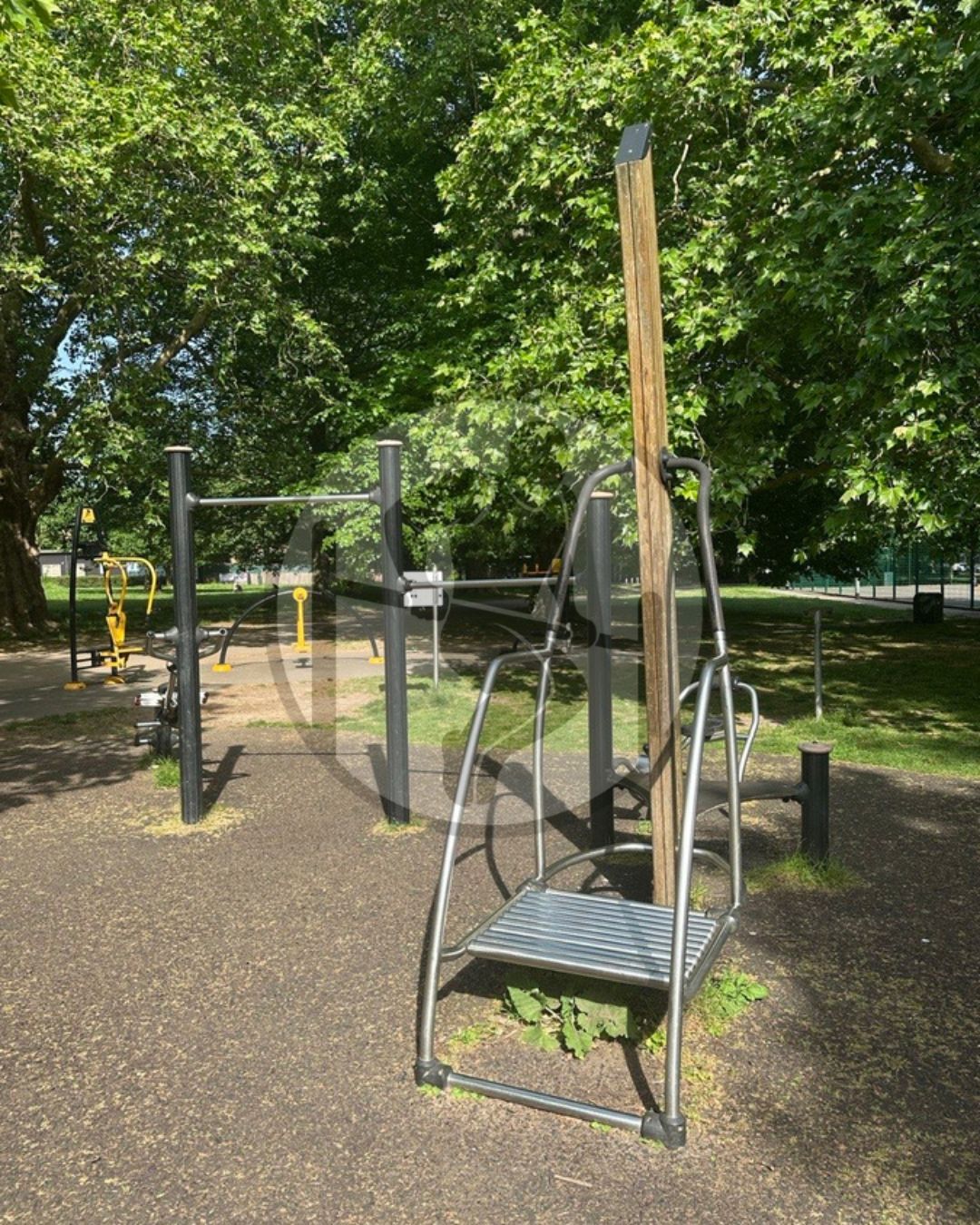 Acton Park